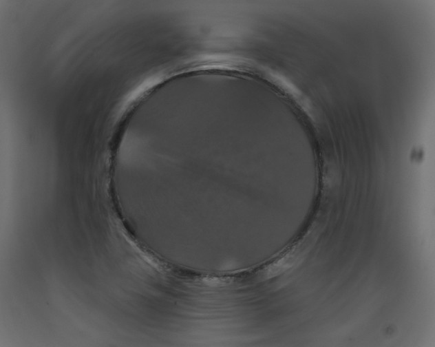 X0000092321411200710121513