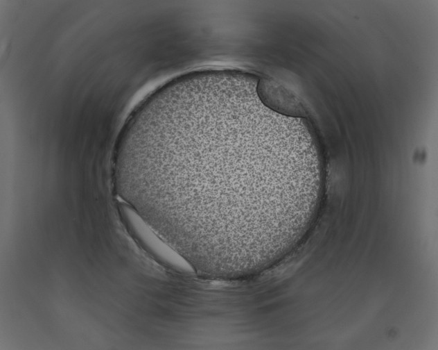 X0000092321412200710121513