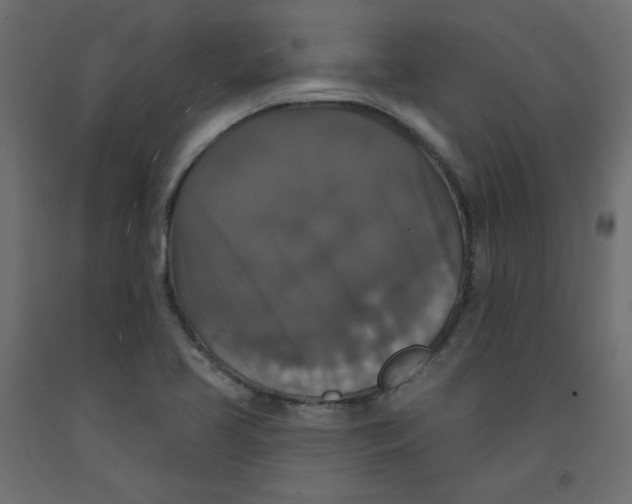X0000092321413200710121513