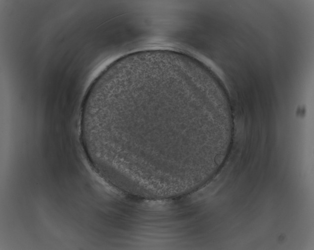 X0000092321415200710121513