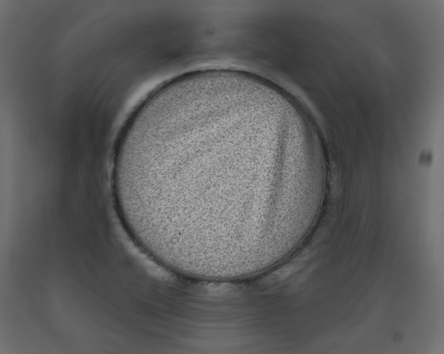 X0000092321416200710121513