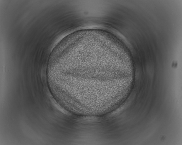 X0000092321417200710121513