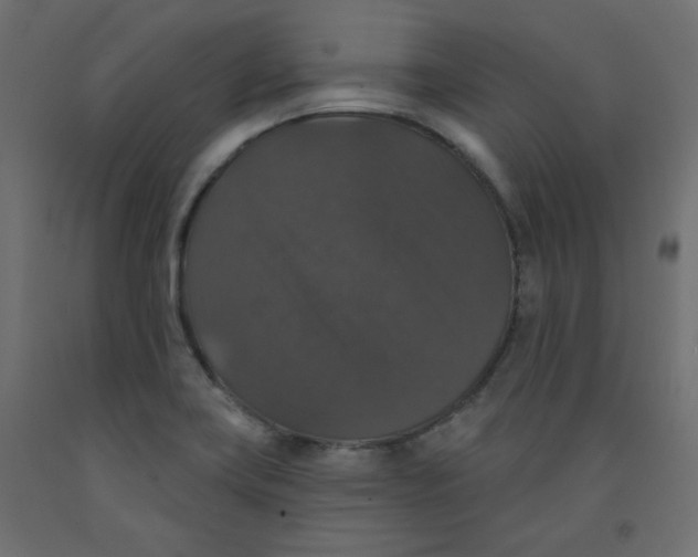 X0000092321419200710121513