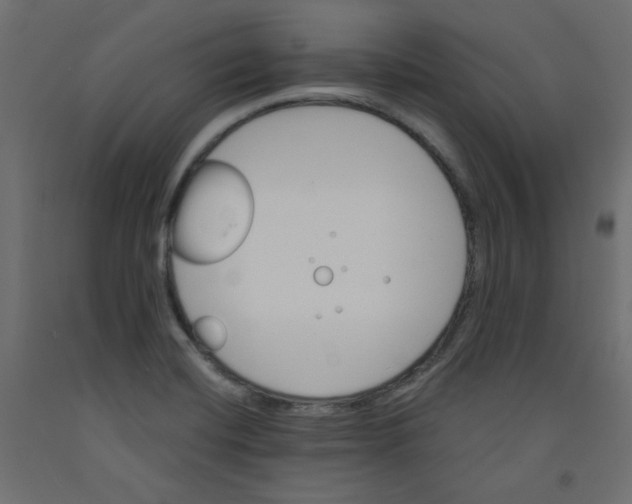 X0000092321420200710121513