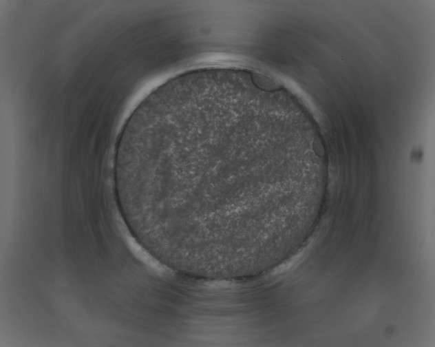 X0000092321421200710121513