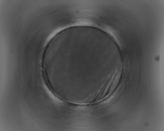 X0000092321422200710121513