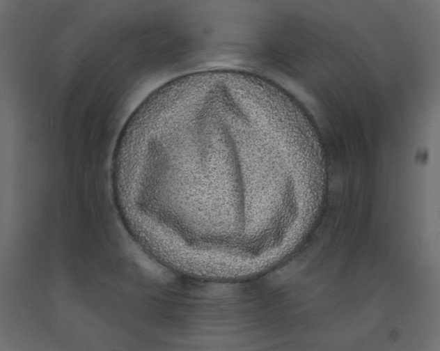 X0000092321423200710121514