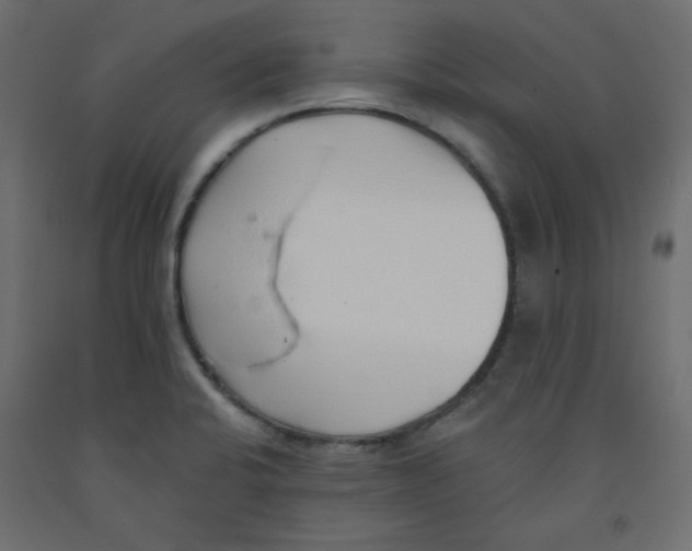 X0000092321424200710121514