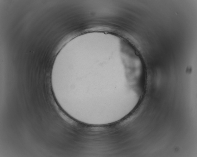 X0000092321425200710121514
