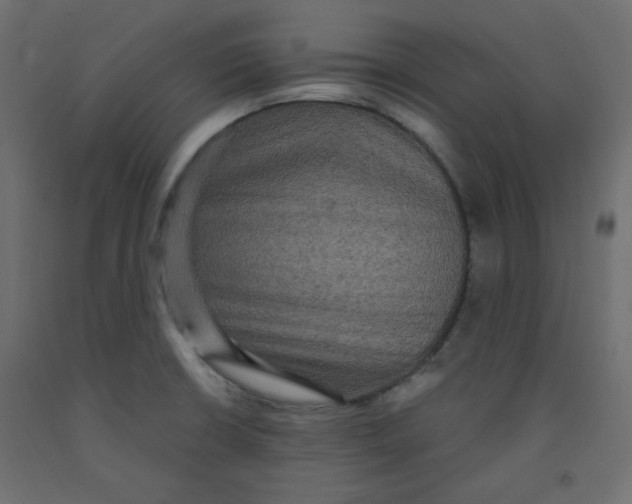 X0000092321426200710121514