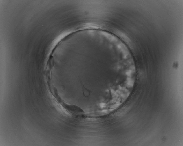 X0000092321427200710121514