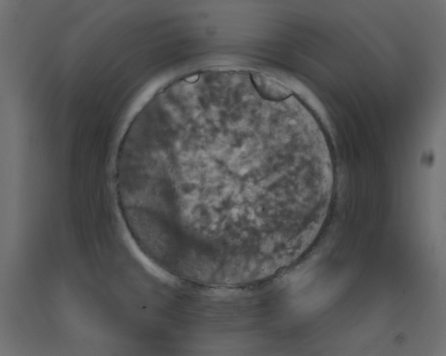 X0000092321429200710121514