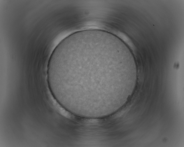 X0000092321431200710121514