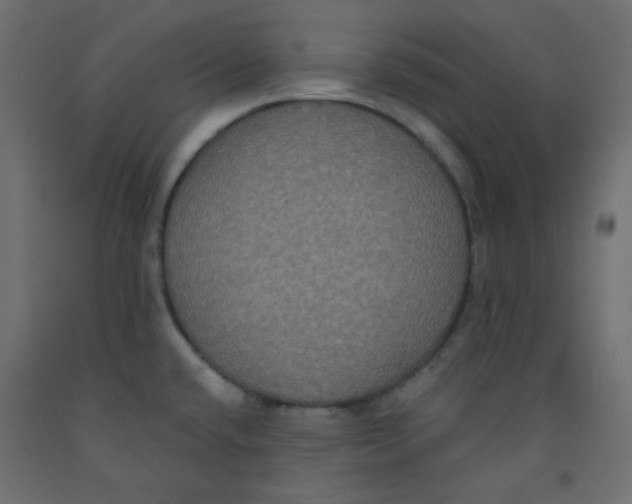 X0000092321432200710121514