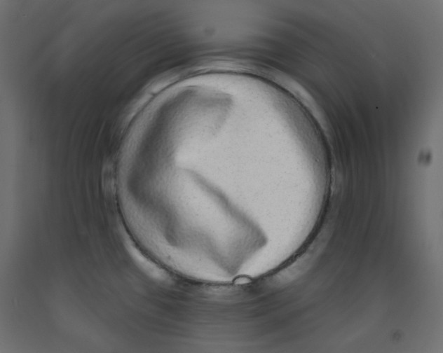 X0000092321433200710121514