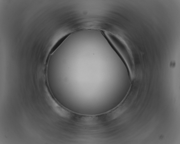 X0000092321434200710121514