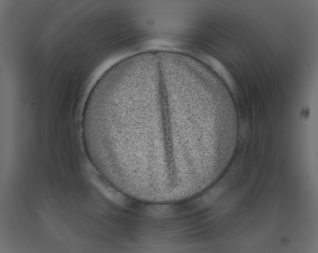 X0000092321435200710121514