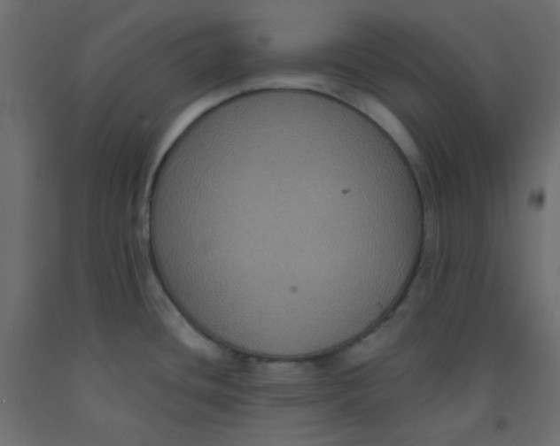 X0000092321436200710121514