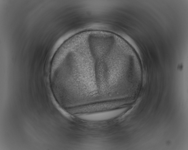 X0000092321437200710121514