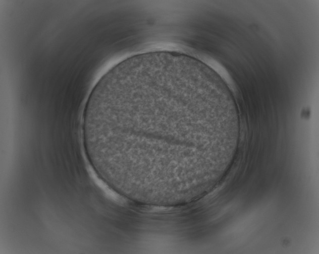 X0000092321439200710121514