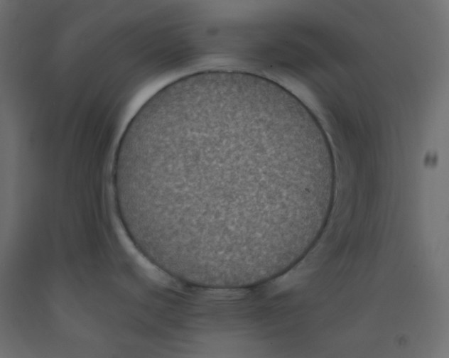 X0000092321440200710121514