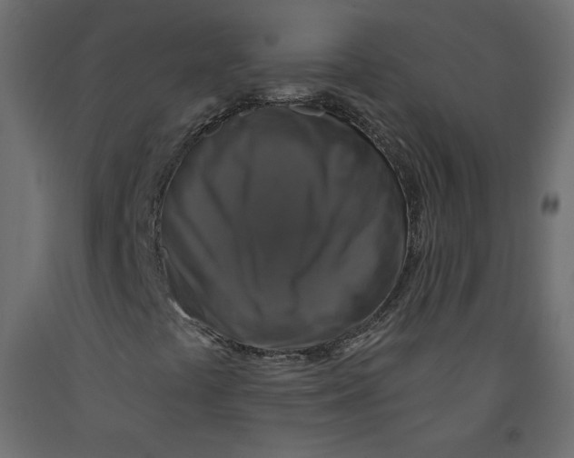 X0000092321441200710121513