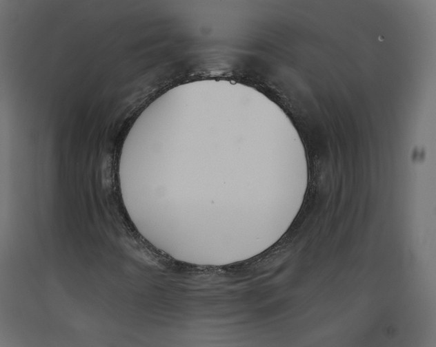X0000092321442200710121513