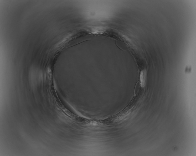 X0000092321443200710121513