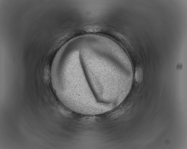 X0000092321444200710121513
