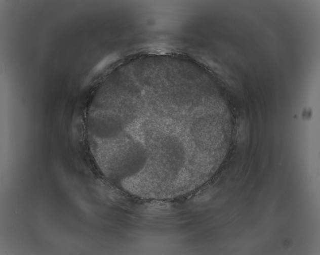 X0000092321446200710121513