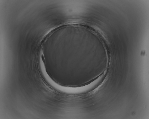 X0000092321449200710121513