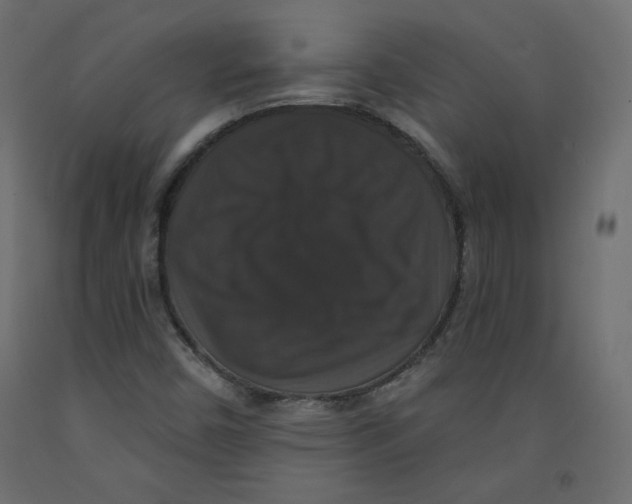 X0000092321450200710121513