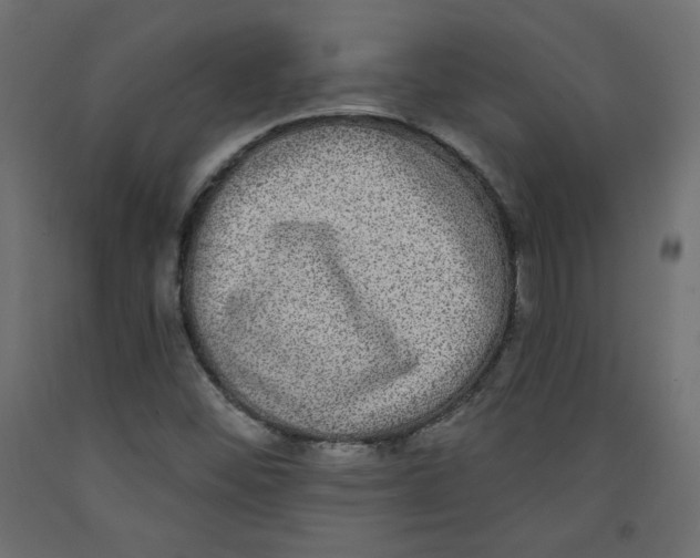 X0000092321452200710121513