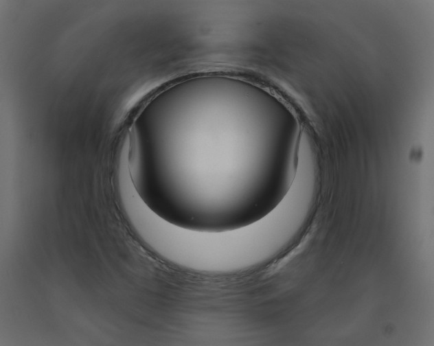 X0000092321453200710121513
