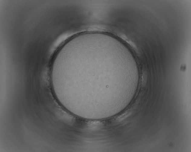 X0000092321454200710121513