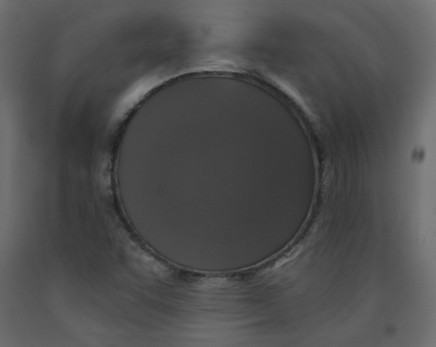 X0000092321455200710121513