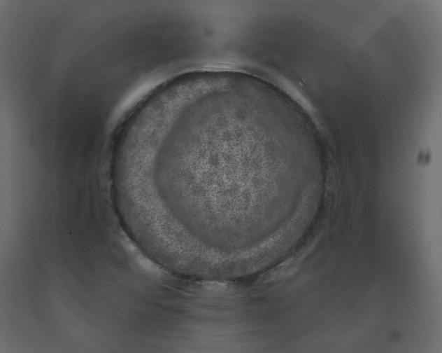 X0000092321456200710121513