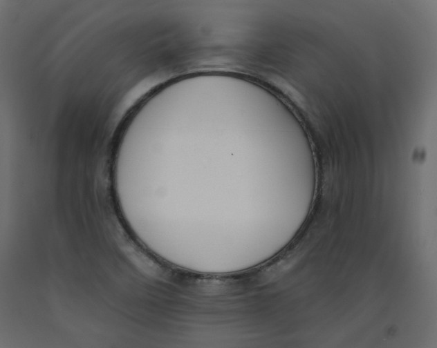 X0000092321458200710121513