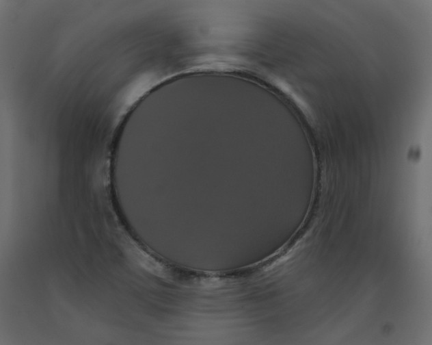 X0000092321459200710121513