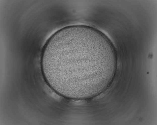 X0000092321460200710121513