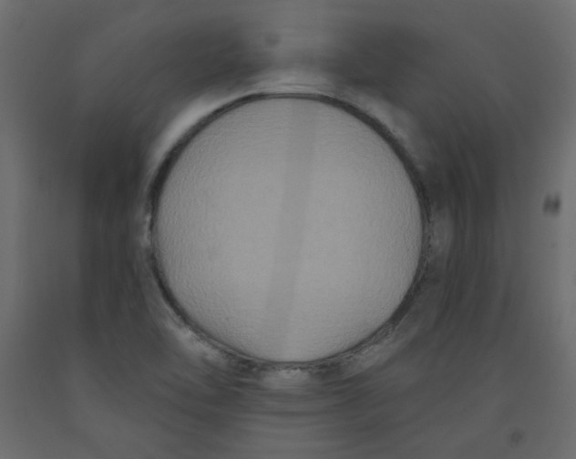 X0000092321462200710121513