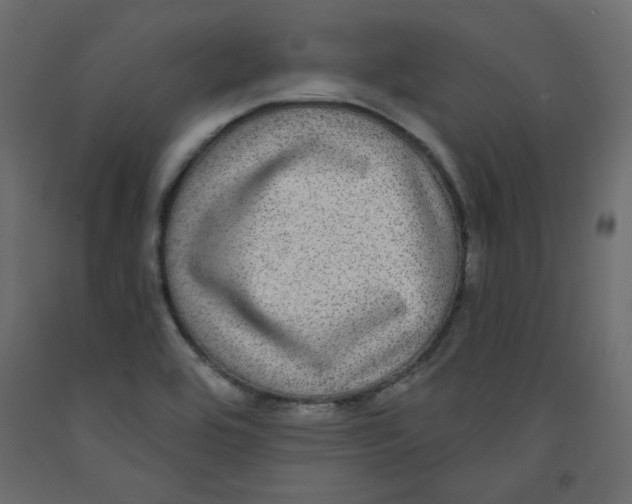 X0000092321464200710121513