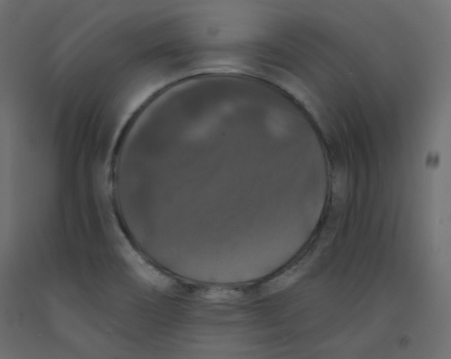 X0000092321466200710121513