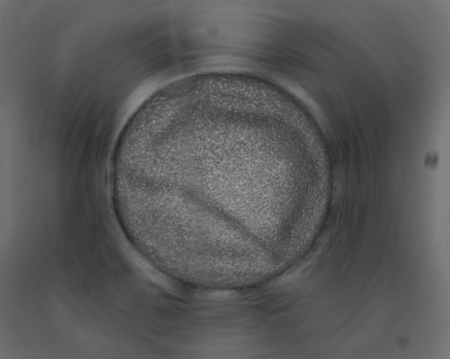 X0000092321467200710121513