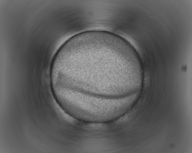 X0000092321468200710121513