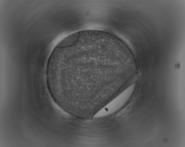 X0000092321471200710121513
