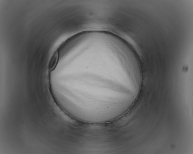 X0000092321472200710121513