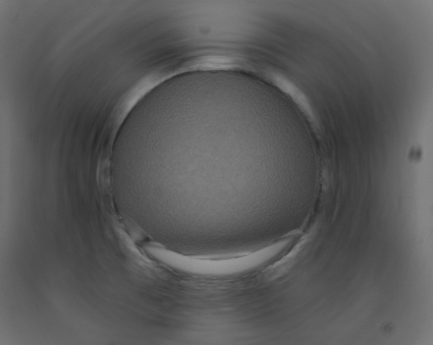 X0000092321473200710121513