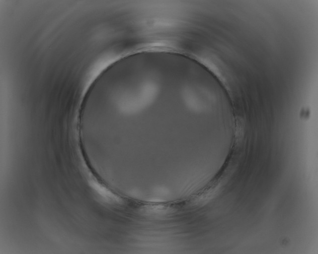 X0000092321474200710121513