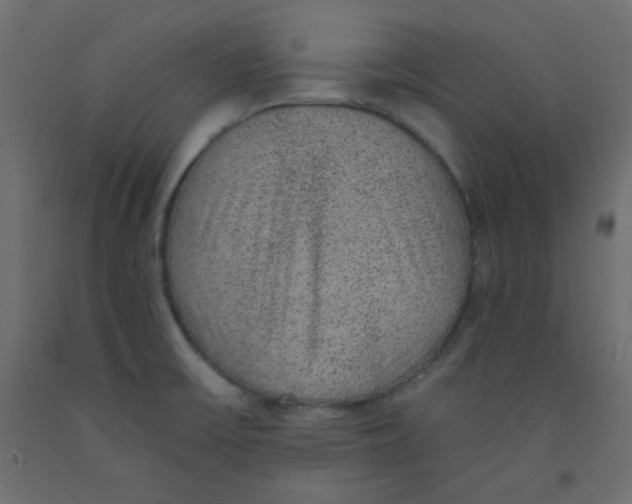 X0000092321475200710121513